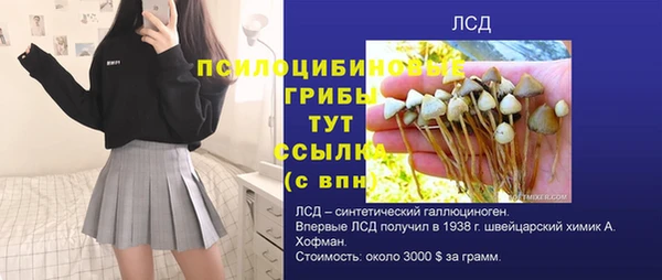 ECSTASY Горняк
