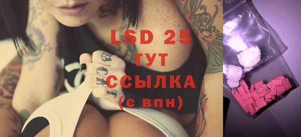 ECSTASY Горняк