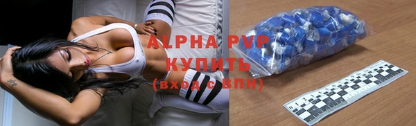 круглые Гусев