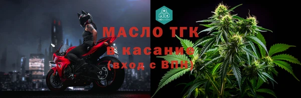 круглые Гусев