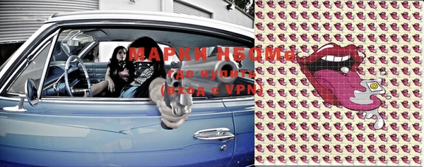 мяу мяу мука Горно-Алтайск