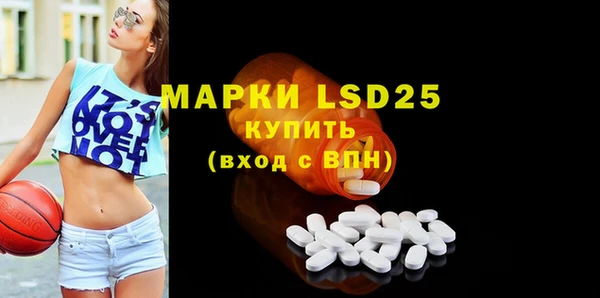 ECSTASY Горняк