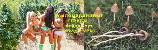 стафф Гусиноозёрск