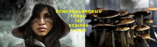 ECSTASY Горняк