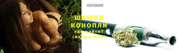 apvp Гусь-Хрустальный