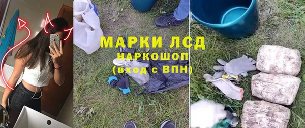 ECSTASY Горняк